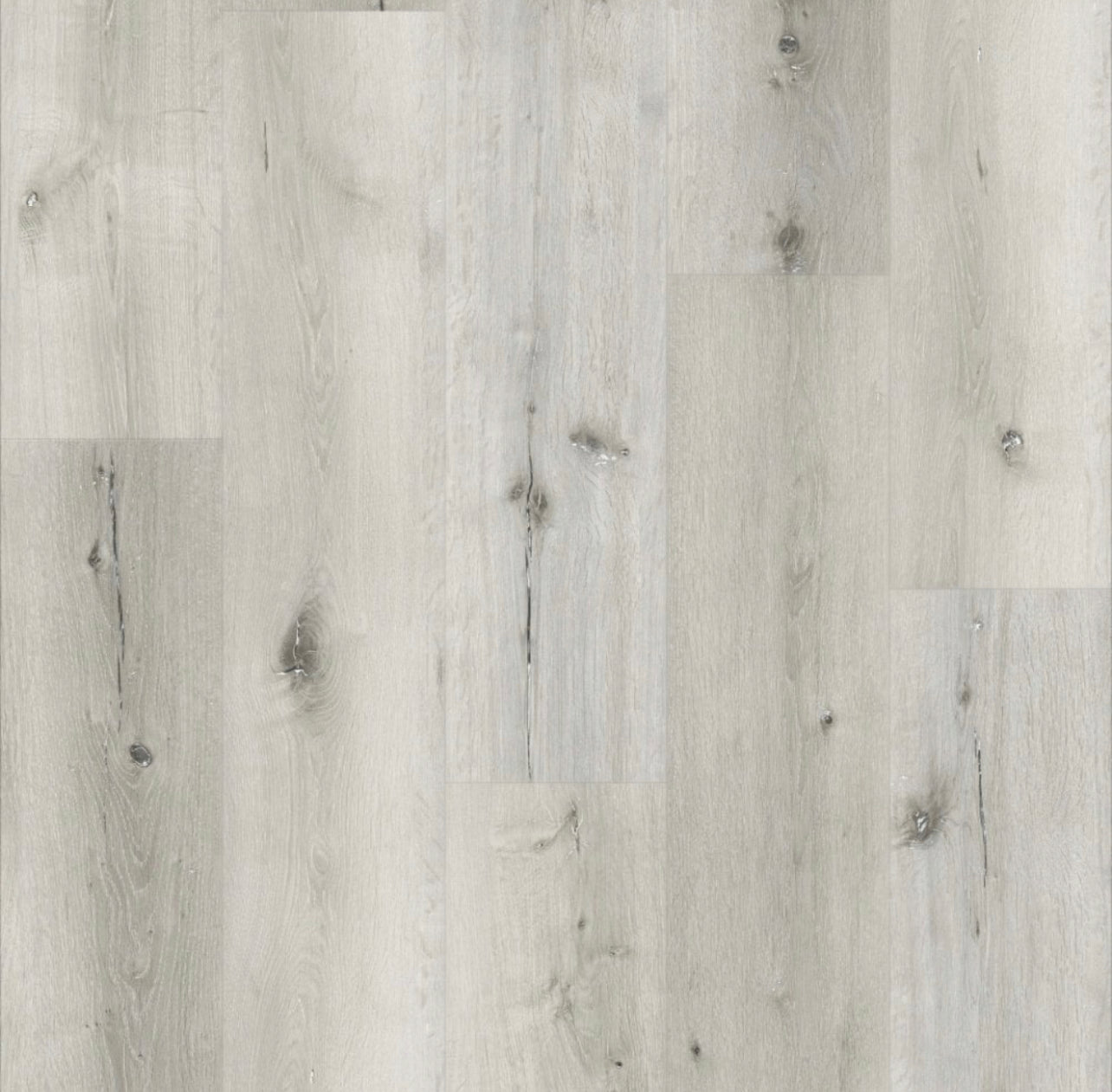 White Rock Oak